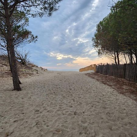 Le Peche Mignon - Appart 1 - Locationlatamarissiere Agde Extérieur photo