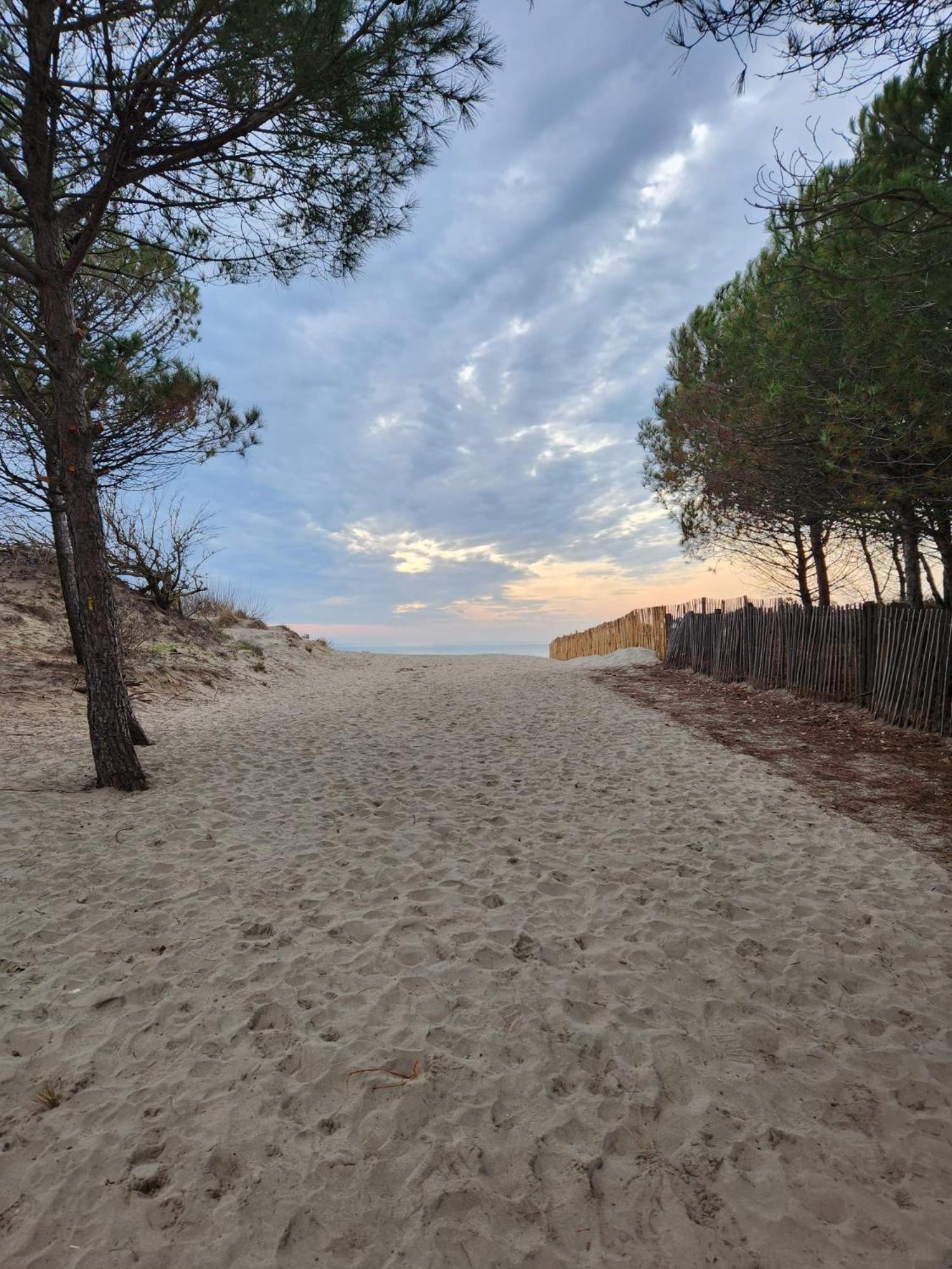 Le Peche Mignon - Appart 1 - Locationlatamarissiere Agde Extérieur photo